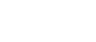 $80 (approx. €70/£55)
plus delivery