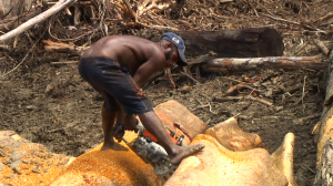Bikpela Bagarap Documentary