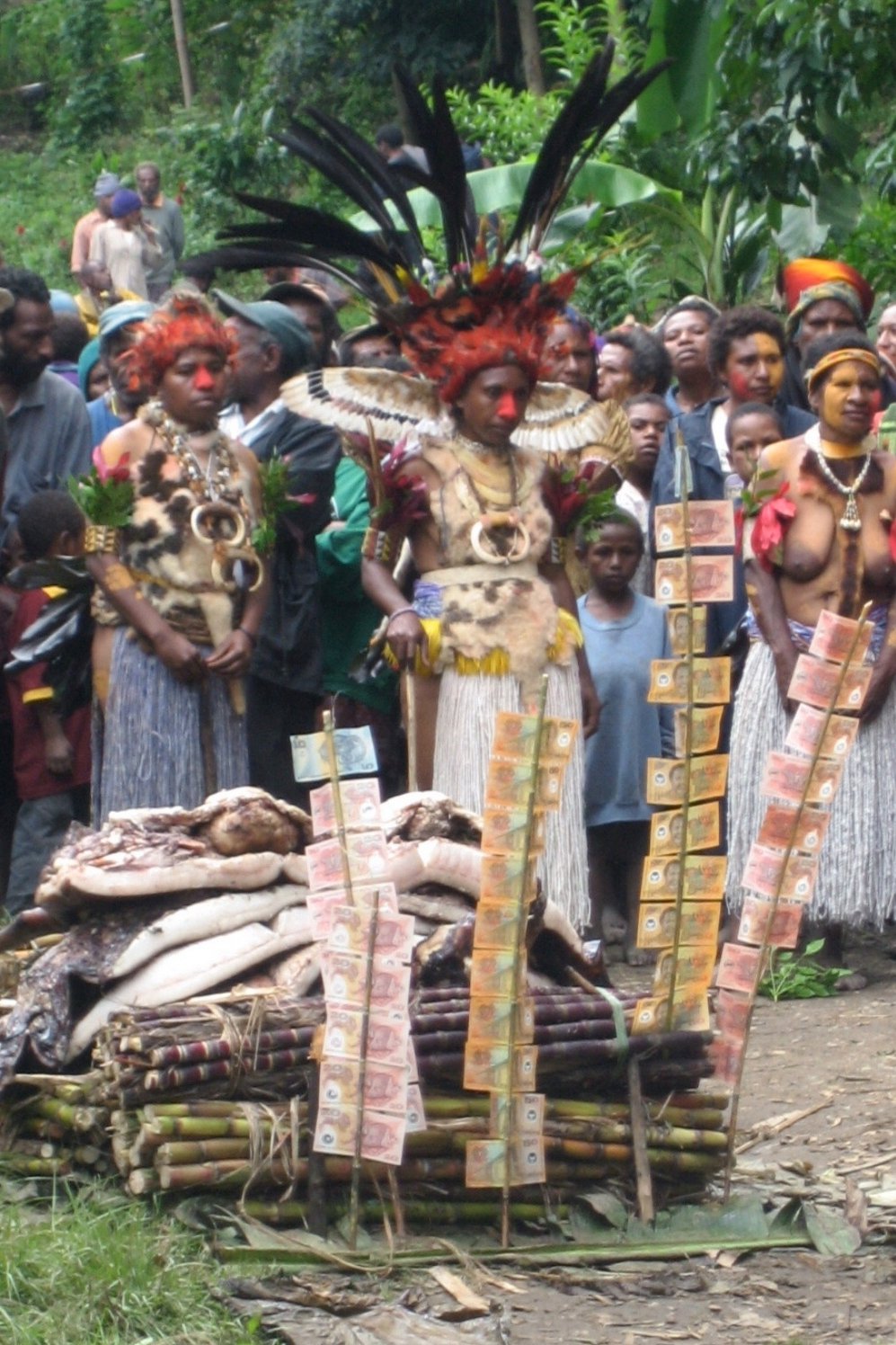 Bride Price Ceremony – Kundiawa, Papua New Guinea – David Fedele