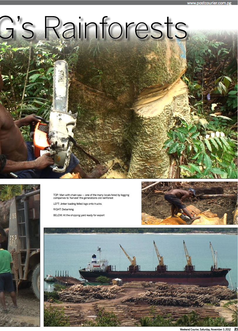 Writing – Destruction of PNG’s Rainforests