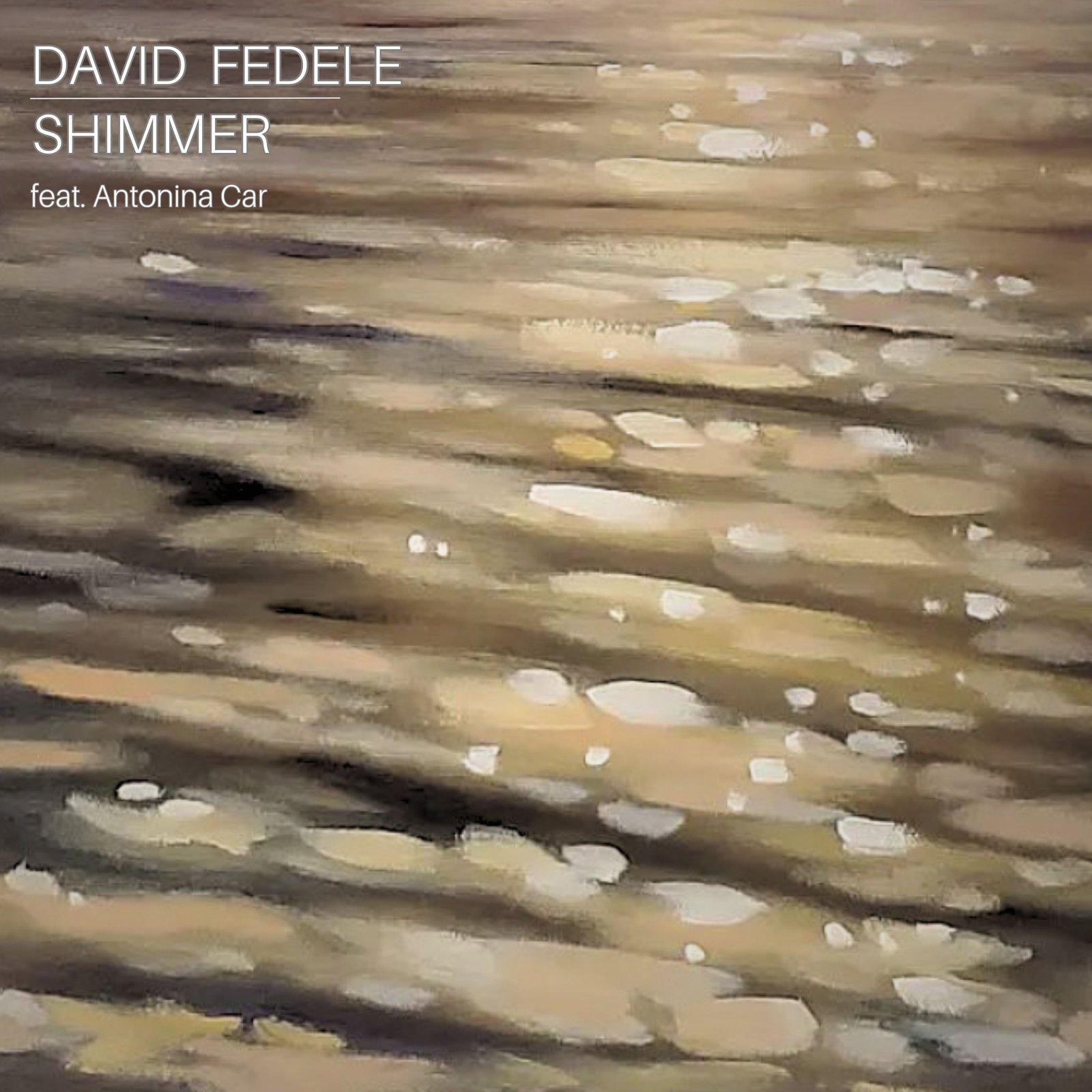 david-fedele-6