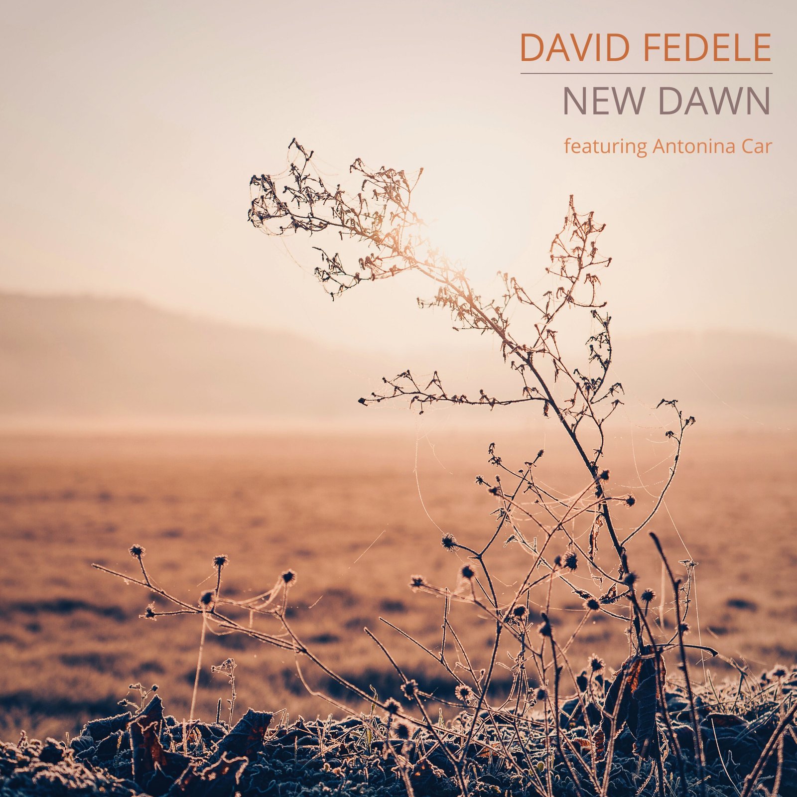 david-fedele-new-dawn-3